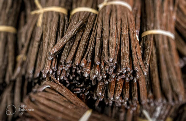 Vanilla Beans - Image 2